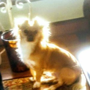 Meet your Posher, Cindy